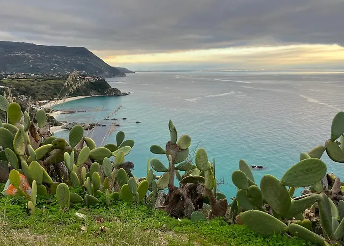 Miriasol קאפו ואטיצ'אנו